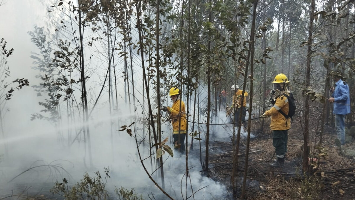 A esta hora se registran fuertes incendios en varios municipios de Cundinamarca En los municipios de Tocancipá, La Mesa y Facatativá se registran incendios forestales.