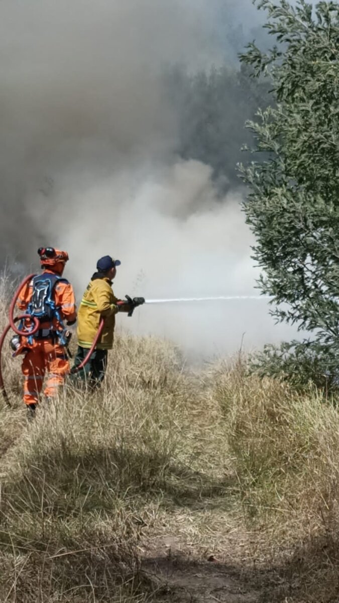 Alerta por incendios forestales en Cundinamarca Ante los recientes casos de incendios forestales ocurridos en Cundinamarca, las autoridades realizaron un llamado a la comunidad dado el preocupante panorama. Y es que las cifras son, por decir lo menos, alarmantes: las hectáreas consumidas por las llamas se cuentan en más de 3.000 y ya son 61 los municipios afectados por los incendios que, lastimosamente, en muchos casos son provocados por manos criminales que buscan mezquinos objetivos o por la irresponsabilidad de realizar pequeñas quemas, en apariencia inofensivas, que terminan saliéndose de control y provocando emergencias.