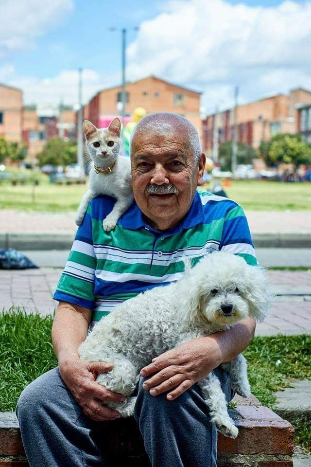 Claves para cuidar de forma responsable a sus perros y gatos En los últimos años, en Colombia se ha creado conciencia y se han implementado acciones para garantizar la tenencia responsable de perros y gatos. Aunque el camino es largo, cada vez que hay una adopción y se ratifica ese compromiso para toda la vida, se demuestra que todos los esfuerzos valen la pena.