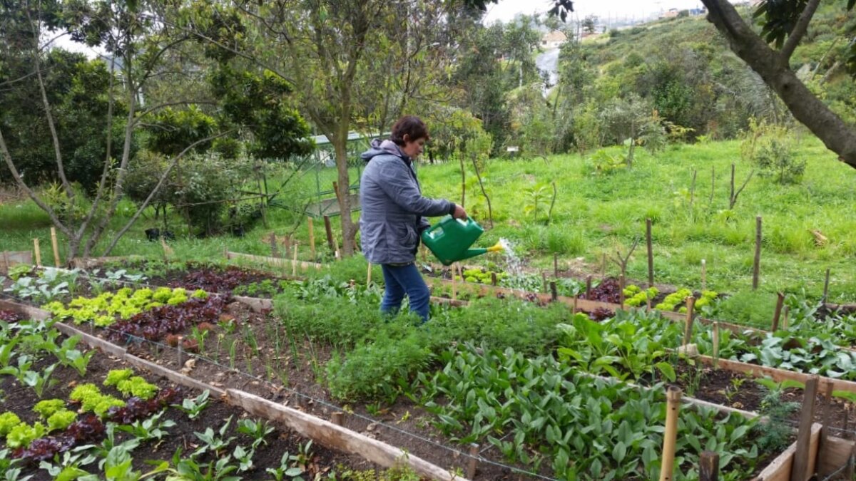 Con precios justos, agéndense con la edición 24 de "Bogotá es mi huerta" Con el fin de incentivar la reactivación económica y apoyar los emprendimientos de las mujeres beneficiarias del programa 'Mujeres que Reverdecen', la Secretaria de Desarrollo Económico de la ciudad de Bogotá con la participación de 32 productores y organizadores de huertas y huerteros, realizarán el tradicional evento de mercado campesino agroecológico "Bogotá es mi huerta", en su versión número 24.