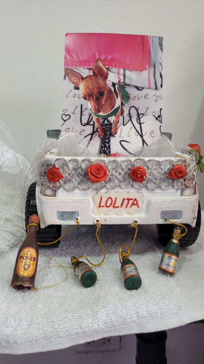Desgarrador relato de la dueña de Lolita: la perrita asesinada a golpes en San Cristóbal 2 Desgarrador relato de la dueña de Lolita: la perrita asesinada a golpes en San Cristóbal Q'HUBO habló con Anny, la mujer que acogió a Lolita en el seno de su familia desde que era una cachorra que le cabía en la mano. Este es el desgarrador relato del crimen de su perrita.