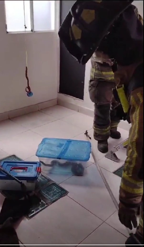 Encontraron una serpiente en el techo de una casa en Kennedy 1 Encontraron una serpiente en el techo de una casa en Kennedy Loa habitantes de una casa ubicada a la altura de la Carrea 68a con Calle 31 b en la localidad de Kennedy, vivieron una situación bastante tensa al encontrar una serpiente de un gran tamaño en el techo de la vivienda.