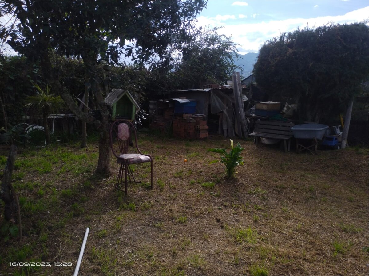Feroz ataque de abejas deja una persona en grave estado de salud En el municipio de Tabio se presentó una emergencia por cuenta de un ataque de abejas en la vereda Lourdes, en el hecho un hombre de 50 años terminó en grave estado de salud y varios animales domésticos resultaron lastimados.