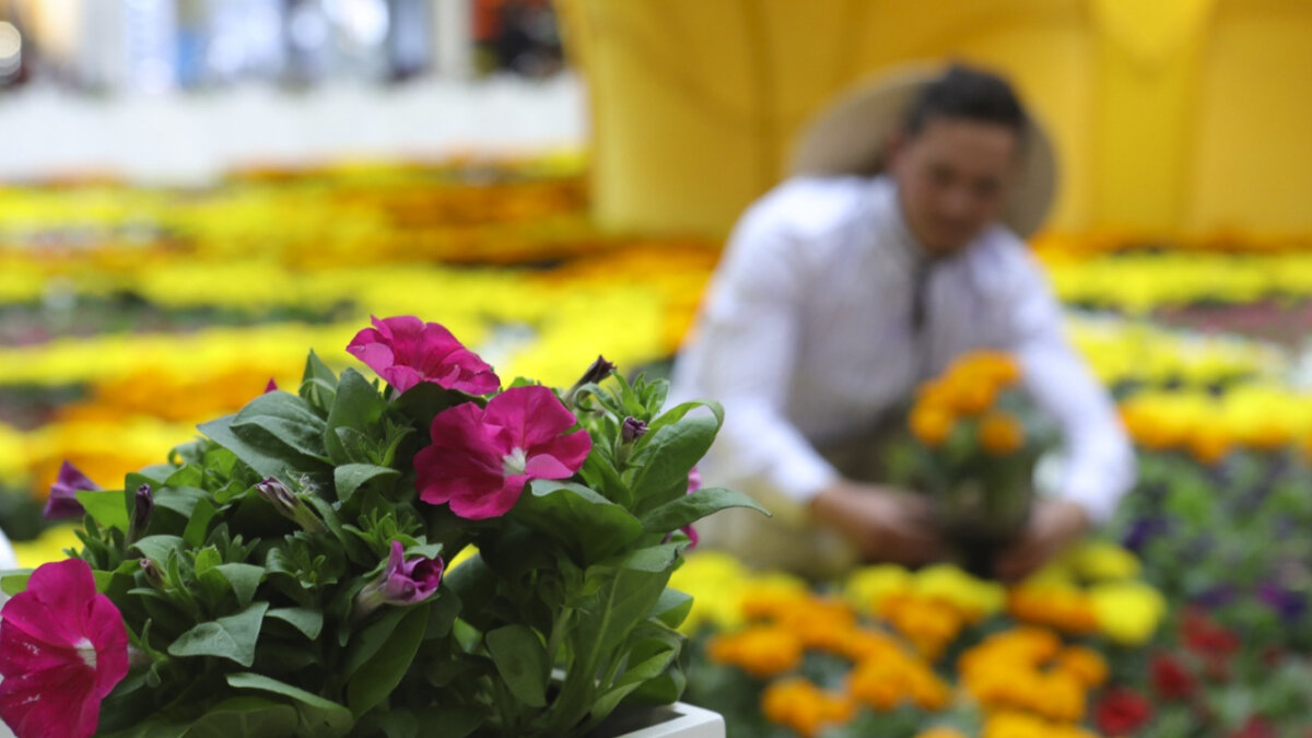 Jardín del Encanto: un homenaje a la floricultura colombiana 1 Jardín del Encanto: un homenaje a la floricultura colombiana El Jardín del Encanto del Centro Comercial Santafé, será adornado por 50.000 flores, entre ellas: petunias rojas, rosas, púrpura, azules, además de marigold amarillas y naranjas.