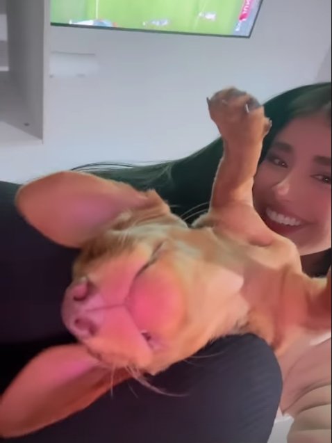Jhonny Rivera y su novia anunciaron al nuevo miembro de su familia, ¡ella lloró de la emoción! 1 Jhonny Rivera y su novia anunciaron al nuevo miembro de su familia, ¡ella lloró de la emoción! En pleno amor y amistad, Jhonny Rivera y su pareja son oficialmente una familia, con este nuevo miembro.