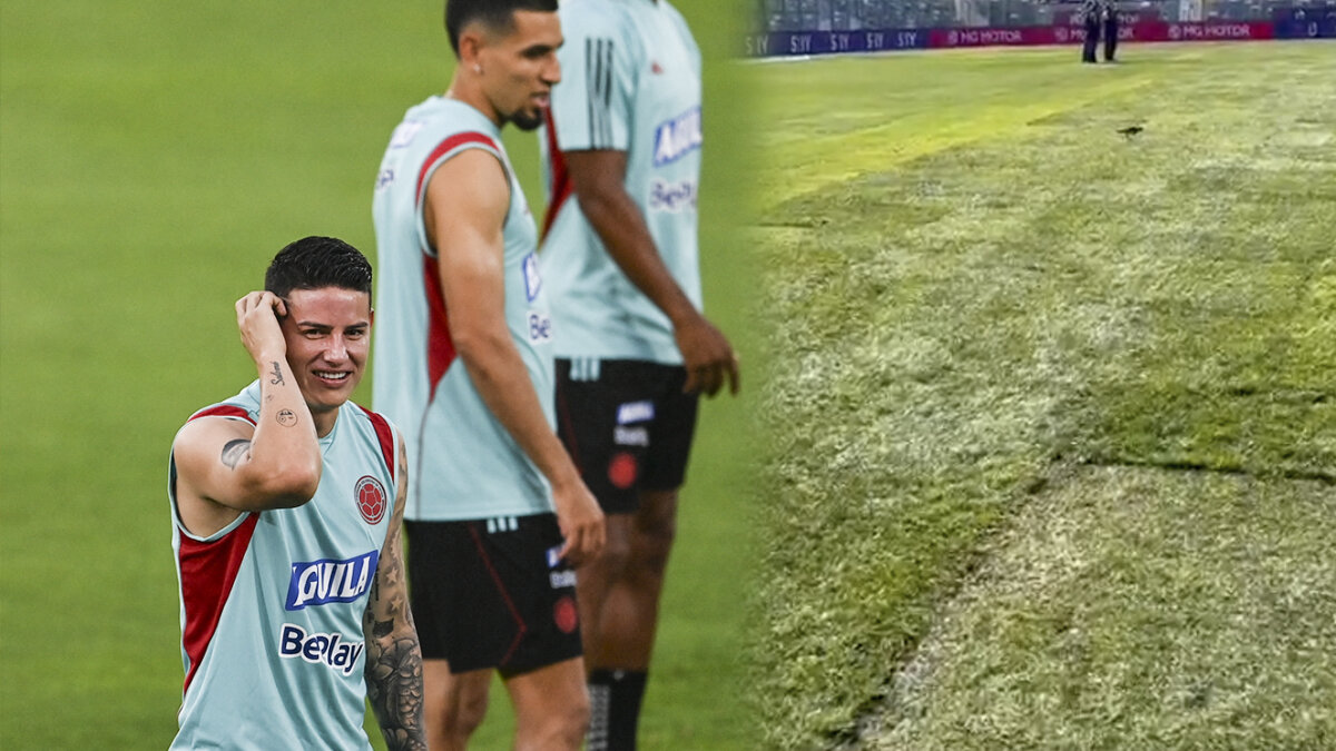 Maltrecha y con baches: así luce la grama del Monumental donde Colombia jugaría ante Chile Tan mal está la grama en el estadio El Monumental, que Colombia no pudo hacer reconocimiento ni entrenamiento en el campo de juego.