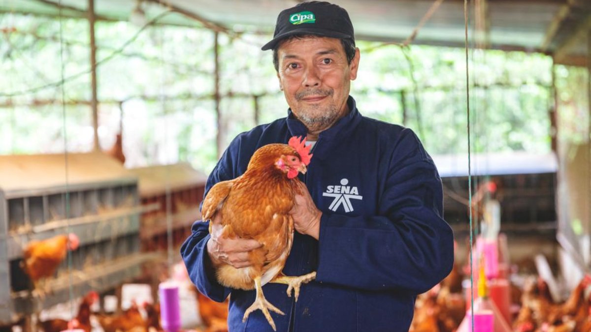 Estos son los proyectos con los que el SENA la está rompiendo en toda Colombia El Servicio Nacional de Aprendizaje (SENA), ha creado y consolidado programas para beneficiar a la población campesina, indígenas y habitantes de sectores populares de todo el país, todo esto durante el primer año de gestión del director general Jorge Eduardo Londoño Ulloa.