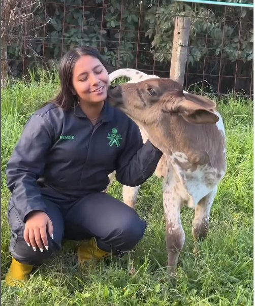 Estos son los proyectos con los que el SENA la está rompiendo en toda Colombia