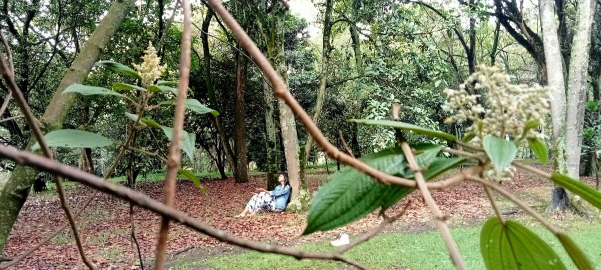 Vuelve a Bogotá el Simposio Internacional de Vitamina N: el poder terapéutico de la naturaleza 1 Vuelve a Bogotá el Simposio Internacional de Vitamina N: el poder terapéutico de la naturaleza Por segunda vez vuelve a Bogotá el Simposio Internacional de Vitamina N, un escenario que busca abordar la conexión y el cuidado de uno mismo, con el otro y el ambiente.
