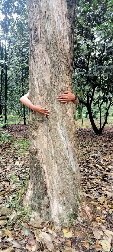 Vuelve a Bogotá el Simposio Internacional de Vitamina N: el poder terapéutico de la naturaleza 2 Vuelve a Bogotá el Simposio Internacional de Vitamina N: el poder terapéutico de la naturaleza Por segunda vez vuelve a Bogotá el Simposio Internacional de Vitamina N, un escenario que busca abordar la conexión y el cuidado de uno mismo, con el otro y el ambiente.