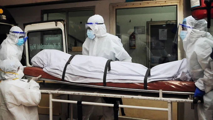 Abecé sobre el mortal virus Nipah: lo que tiene que saber de la enfermedad que tiene en alerta al mundo 1 Abecé sobre el mortal virus Nipah: lo que tiene que saber de la enfermedad que tiene en alerta al mundo En alarma están las autoridades de la India y la misma Organización Mundial de la Salud, OMS, por los brotes de Nipah, una epidemia que se trasmite de animal a animal, pero también de persona a persona. Esto es lo que sabe del virus.