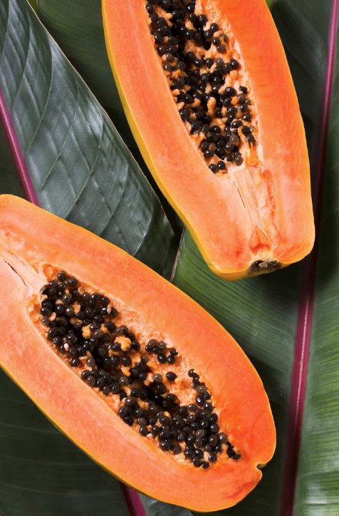 Los increíbles Beneficios De Las Semillas De Papaya Estas pequeñas semillas, a menudo pasadas por alto, son una forma natural y efectiva de limpiar los riñones, el hígado y los intestinos. En este artículo, te presentaremos cómo preparar las semillas de papaya y aprovechar al máximo sus beneficios.