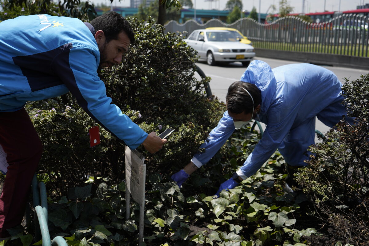 Alerta por presencia de ratas en Bogotá 3 Alerta por presencia de ratas en Bogotá En las últimas semanas cientos de ciudadanos de varias localidades han visto con preocupación un evidente aumento en el número de roedores que cohabitan la capital.
