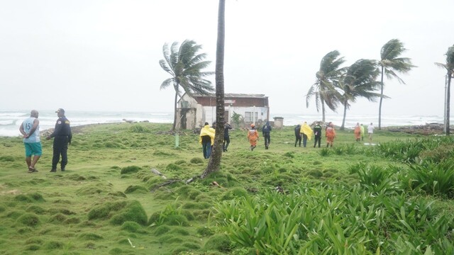 san andrés