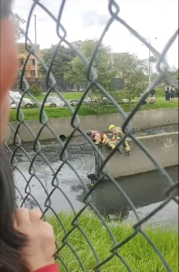 Conmovedor rescate de un perrito en Engativá Este es el momento en el que bomberos rescata a un perrito que había quedado atrapado en un canal de aguas negras en Engativá. Vea el video aquí.