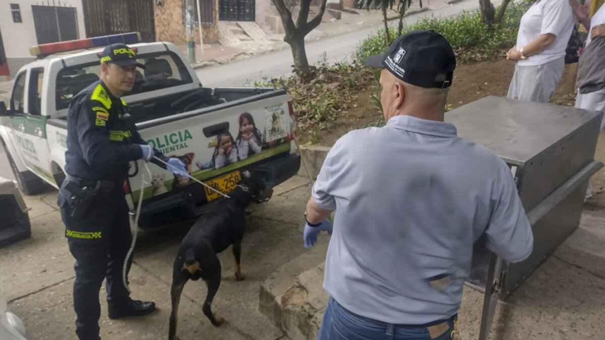 Hombre le habría causado la muerte a un perrito al dejarlo encerrado en un carro En la lucha contra el maltrato animal, un fiscal le imputó cargos a un hombre por causarle la muerte a una perra rottweiler y descuidar a dos más.