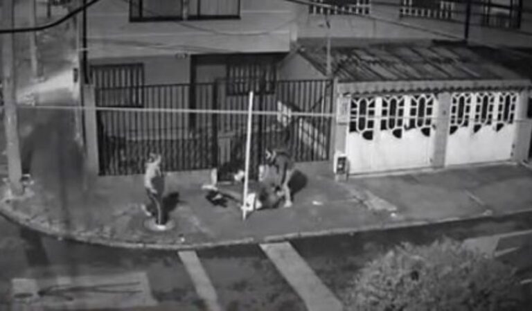Motoladrones golpearon en el piso a 2 mujeres para robarlas en Rafael Uribe