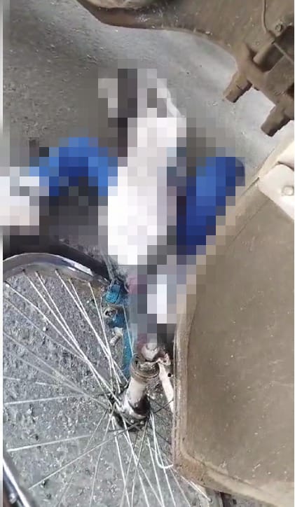 Fatal accidente entre tractocamión y bicicleta en Fontibón 1 Fatal accidente entre tractocamión y bicicleta en Fontibón En horas de la mañana se presentó un terrible accidente en la localidad de Fontibón entre un tractocamión y un joven que se transportaba en bicicleta.