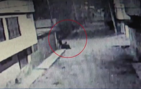 Capturan a peligrosa sicaria en Bosa 1 Capturan a peligrosa sicaria en Bosa Alias 'La Mona', una mujer de 28 años, sería la sicaria de una organización criminal.