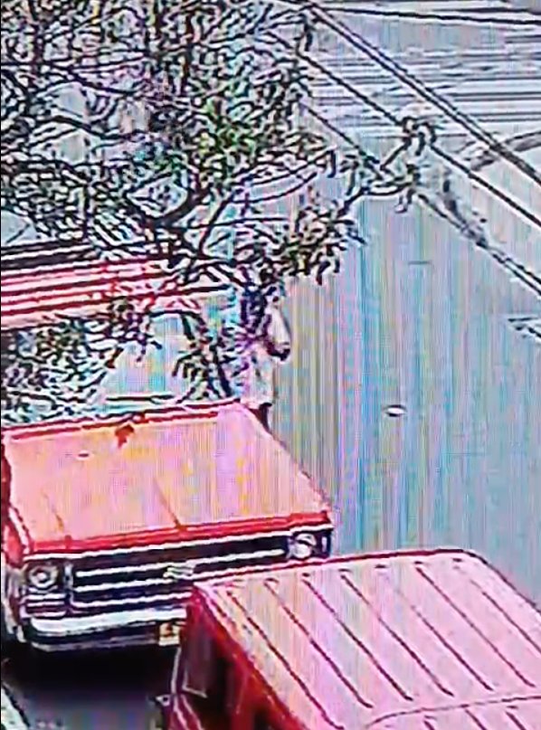 ¡Indignante! Se robaron una camioneta y ahora están extorsionando 1 ¡Indignante! Se robaron una camioneta y ahora están extorsionando Cámaras de vigilancia del sector de la Alquería, en la localidad de Puente Aranda, captaron el momento en el que un sujeto se roba una camioneta y se va tranquilamente del lugar. Sin embargo, el delincuente, no contento con el hurto, ha estado extorsionando e intimidando al dueño del vehículo y a su familia.