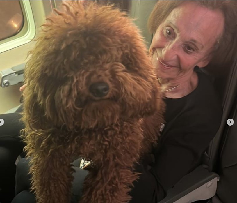 ¡Las mascotas también caben en los vuelos humanitarios! 1 ¡Las mascotas también caben en los vuelos humanitarios! En uno de los vuelos humanitarios realizados por la Fuerza Área de Chile (FACh), que salieron desde las zonas de riesgo de Israel, varias familias pudieron viajar con sus mascotas
