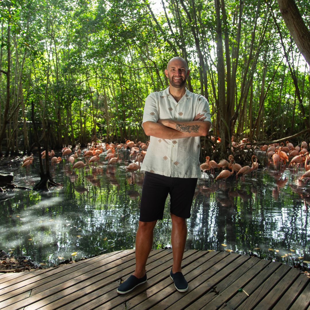 'Aventura Gastronómica Colombia' estrenará su segunda temporada 1 'Aventura Gastronómica Colombia' estrenará su segunda temporada Nuevos destinos y sabores colombianos descubrirá el chef Nicolás de Zubiría durante la segunda temporada del conocido programa 'Aventura Gastronómica Colombia', que se estrenará el próximo 10 de noviembre por Sony Channel.