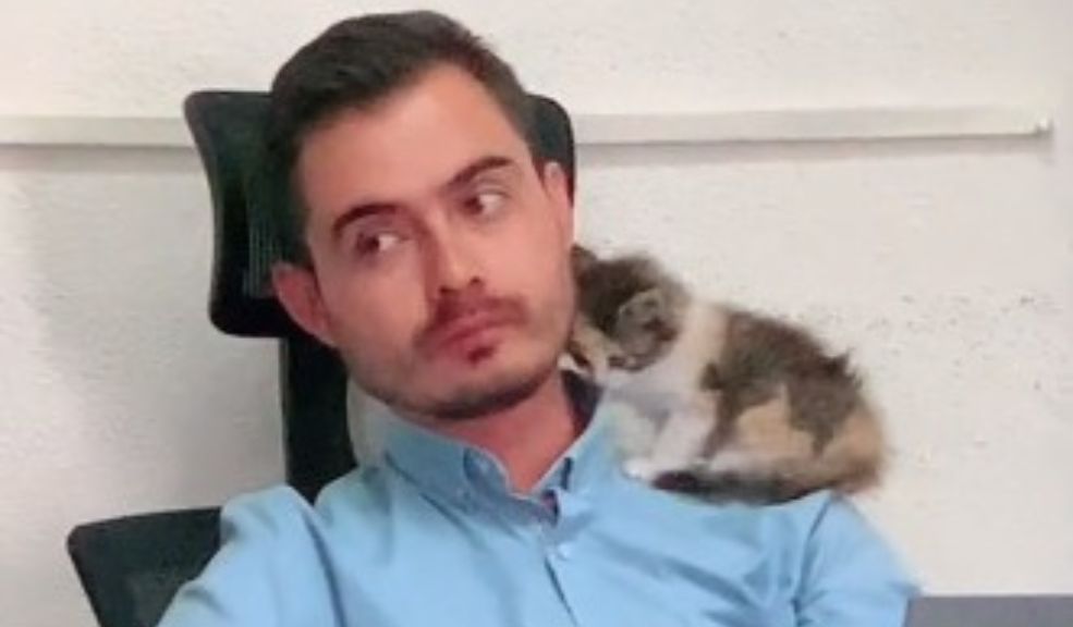 EN VIDEO: Gato de una alumna le roba el corazón a un profesor en medio de un examen 10 EN VIDEO: Gato de una alumna le roba el corazón a un profesor en medio de un examen En redes sociales se ha hecho viral un tierno video de un profesor que cuida el gatico de una alumna, mientras ella presenta un examen.