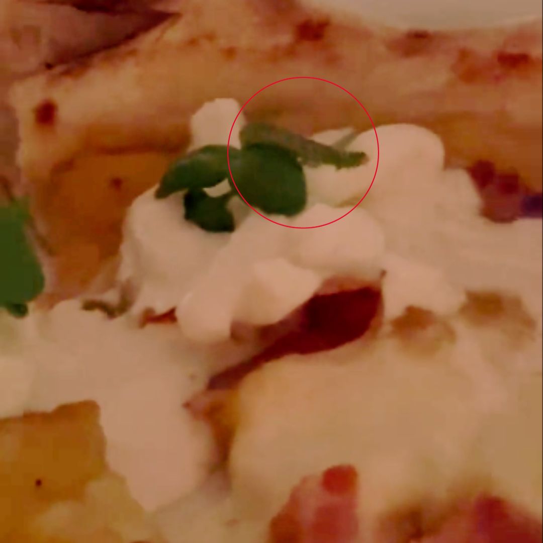 EN VIDEO: Cliente halló asqueroso gusano en plato de restaurante de James Rodríguez 1 EN VIDEO: Cliente halló asqueroso gusano en plato de restaurante de James Rodríguez Un usuario denunció en redes sociales la presencia de un gusano vivo, en uno de los platos del prestigioso restaurante de James Rodríguez en Bogotá.