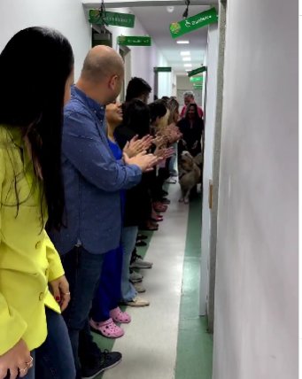 EN VIDEO: Perrito sobrevive tras recibir disparo por defender a su familia 1 EN VIDEO: Perrito sobrevive tras recibir disparo por defender a su familia Un valiente Golden Retriver fue ovacionado por el personal médico tras sobrevivir a un disparo y 3 cirugías, luego de proteger a su familia.