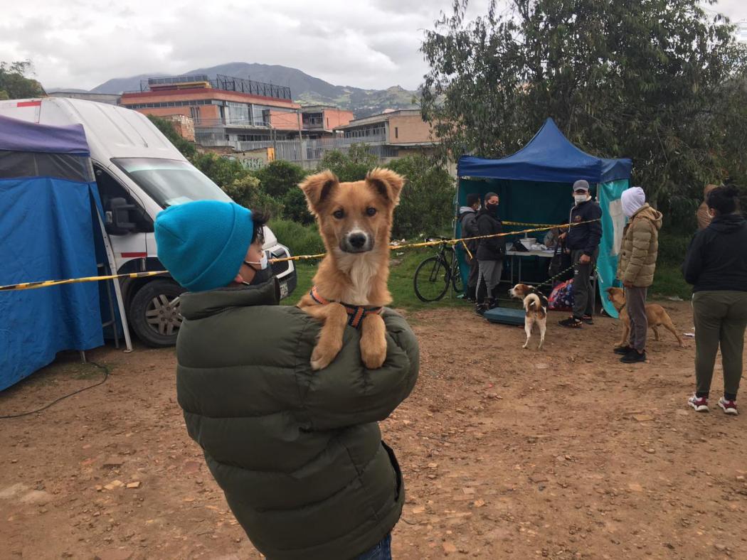 ¡Atroz! En jornada de esterilización murieron al menos 10 mascotas Como una "masacre animal", así calificaron varios ciudadanos a una jornada de esterilización realizada por la alcaldía de Apartadó (Antioquia), pues denuncian que debido a irregularidades en el proceso, al menos 10 mascotas perdieron la vida.
