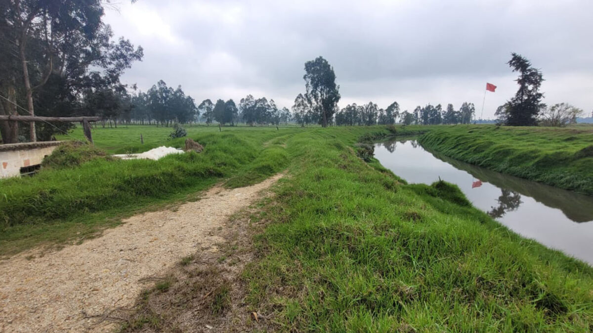 Hallan cadáver de una mujer en vereda de Soacha Un macabro hallazgo tuvo lugar en la mañana de este jueves en una vereda del municipio de Soacha, cuando un trabajador de la zona encontró el cuerpo inerte de una mujer dentro de un caño. Le contamos los detalles.