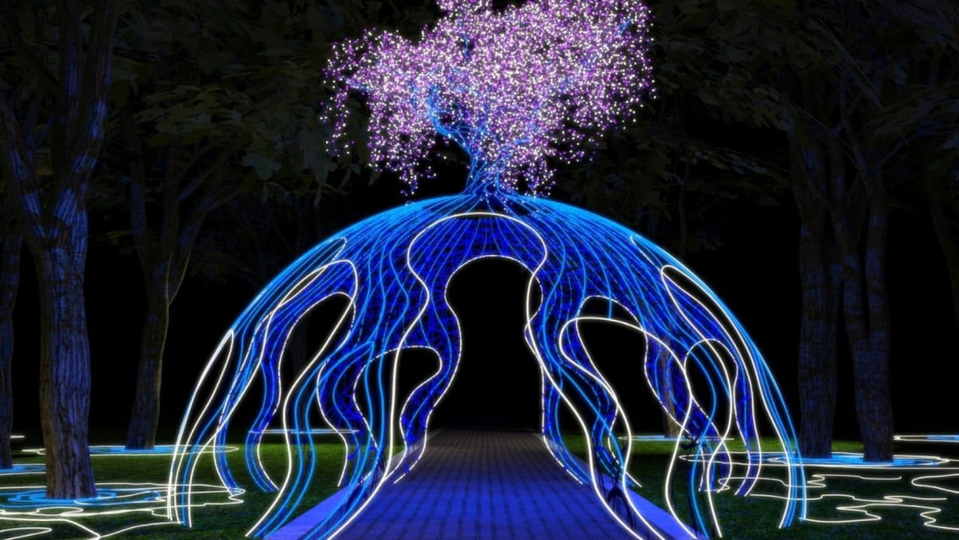 Festival de luces
