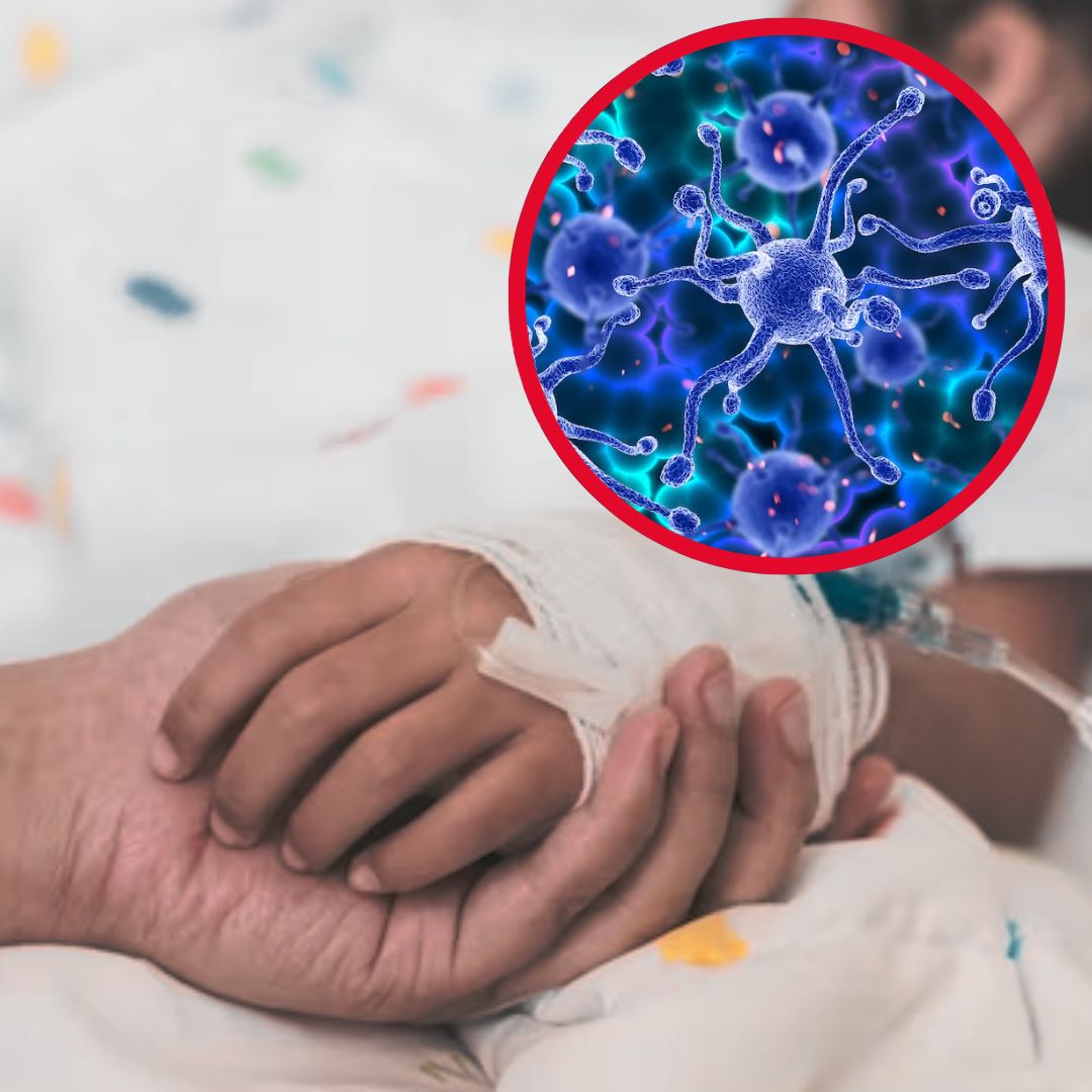 Niña de 10 años murió tras contraer peligroso parásito La niña adquirió un parásito peligroso que se propaga de manera destructiva, ocultándose en piscinas, jacuzzis e incluso lagos. Este caso, poco común para la medicina, ha generado preocupación y activado las alertas en Colombia.