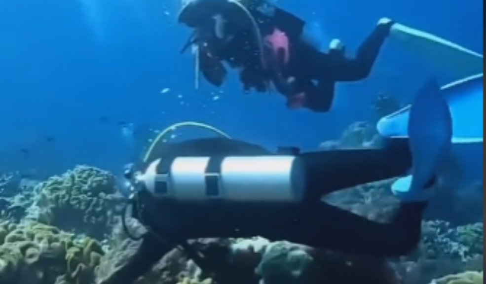 EN VIDEO: ¡Qué susto! Un grupo de buzos presenció terremoto bajo el mar #MundoCurioso Un día de aventuras debajo del mar por poco termina en tragedia para un grupo de buzos que se sumergieron en las profundidades del océano. Un terremoto los sorprendió y en un video quedaron grabados los angustiosos momentos.