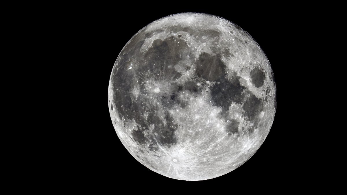 Confirman la posibilidad de cultivar plantas en la Luna Es posible cultivar plantas en suelo lunar, según demostró un experimento realizado durante nueve días. Esta es la historia: