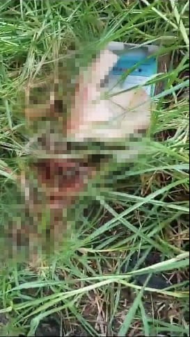 En este lugar encontraron a la menor golpeada y abusada en Kennedy La menor fue encontrada en un matorral de Kennedy con graves golpes y signos de abuso.