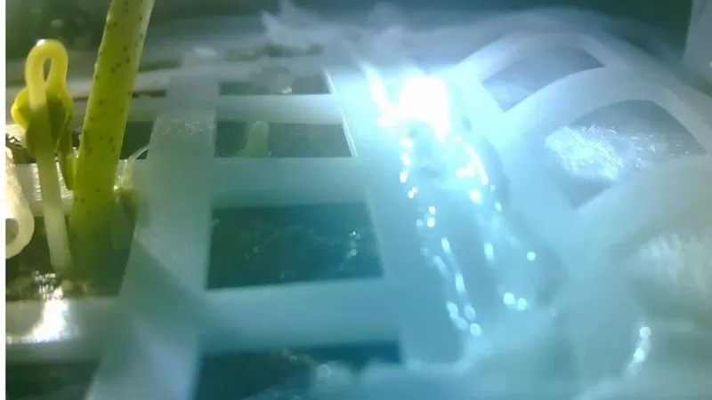 Experimento espacial confirma la posibilidad de cultivar plantas en la Luna Se podría cultivar plantas en la Luna. Les contamos.