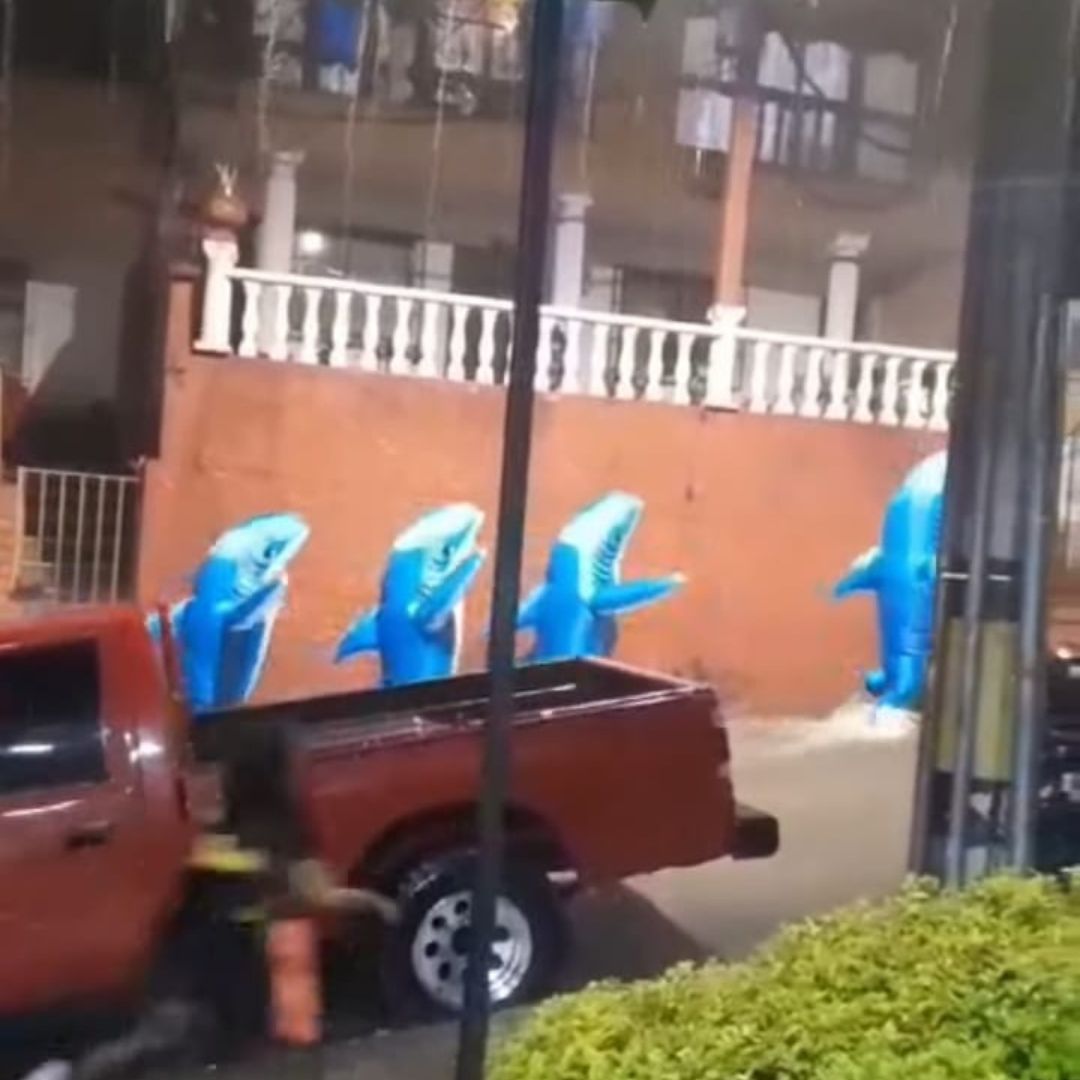 Captan a personas disfrazadas de tiburón y bailando bajo la lluvia 1 Captan a personas disfrazadas de tiburón y bailando bajo la lluvia En redes sociales se ha viralizado un video en el que personas disfrazadas de tiburón aparecen bailando mientras cae tremendo aguacero.
