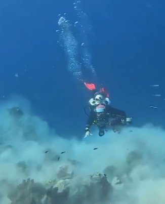 EN VIDEO: ¡Qué susto! Un grupo de buzos presenció terremoto bajo el mar #MundoCurioso Un día de aventuras debajo del mar por poco termina en tragedia para un grupo de buzos que se sumergieron en las profundidades del océano. Un terremoto los sorprendió y en un video quedaron grabados los angustiosos momentos.