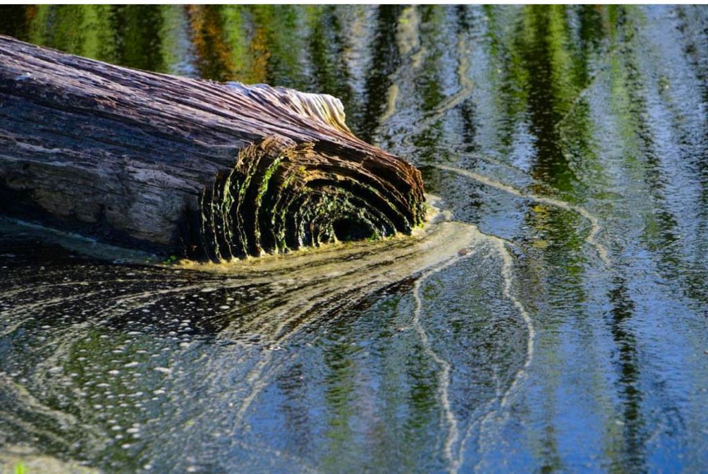 ‘Tierra, luz, hielo, camino a la introspección’: la exposición fotográfica que muestra lo mejor de la naturaleza El fotógrafo Mario Jaramillo presenta una exposición que se sumerge en las estéticas que produce los paisajes de la naturaleza.