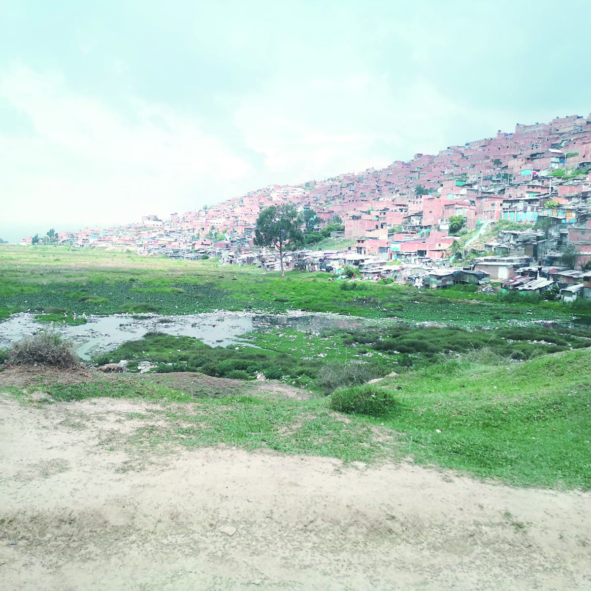 Hallan el cuerpo de Harold en Soacha 1 Hallan el cuerpo de Harold en Soacha En horas de la mañana de este viernes, las autoridades fueron alertadas del cuerpo sin vida de un joven dentro de una laguna en el vecino municipio de Soacha. La situación generó consternación entre los vecinos del lugar, quienes poco a poco fueron enterándose de que se trataba de un pelado que vivía en el barrio Potosí de Ciudad Bolívar y que había desaparecido días antes.