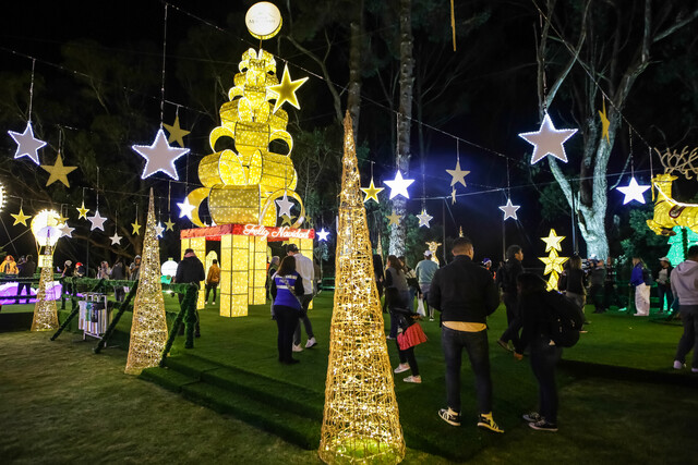 Bogotá celebra la Navidad con constelaciones y ferias 2 Bogotá celebra la Navidad con constelaciones y ferias Bogotá se prepara para vivir una nueva temporada de Navidad con circuitos gastronómicos y culturales, novenas de aguinaldos, el show Constelaciones y la Feria Bogotá es Navidad.