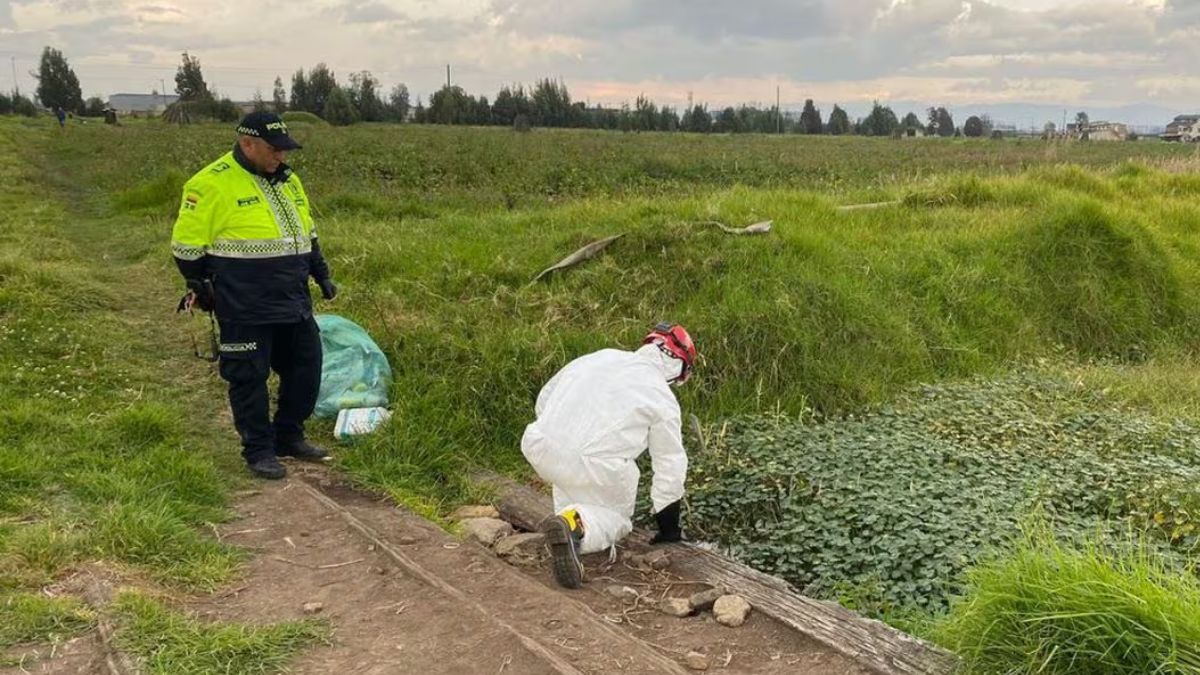 Confirman que víctimas de la masacre en Mosquera no eran familia Aunque la información preliminar aseguraba que los 3 hombres que fueron hallados sin vida en la vereda San Francisco (Mosquera) eran primos, los familiares de las víctimas le confirmaron a Q'Hubo que no hay ningún parentesco entre ellos