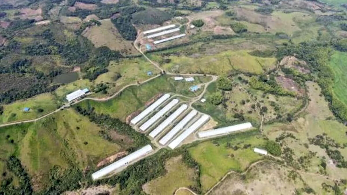 Gobierno entrega predio de exparamilitares a víctimas del conflicto 1 víctimas