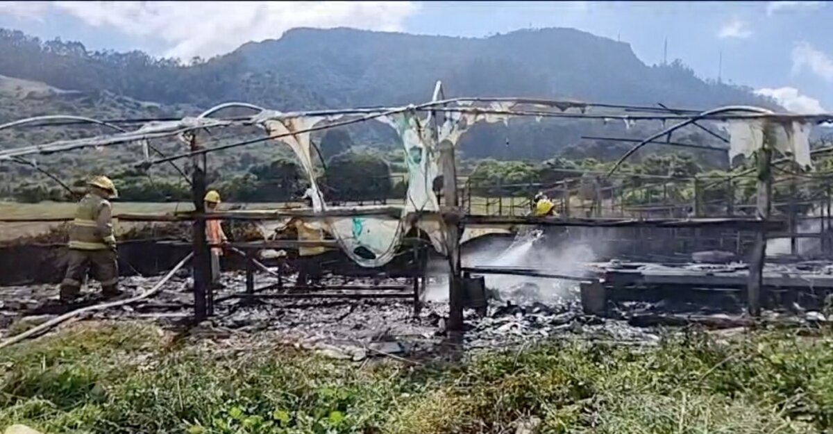 Grave explosión en polvorería de Facatativá La explosión dejó ocho personas lesionadas.