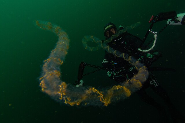 National Geographic vuelve a explorar los océanos colombianos National Geographic Pristine Seas tiene preparado un documental para celebrar la protección de más del 30% de los océanos de Colombia.