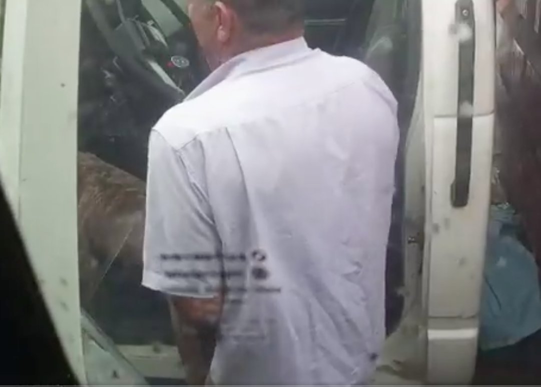 ¡Aberrante! Denuncian abuso sexual a perrita Denuncian repudiable caso de abuso sexual a una perrita.