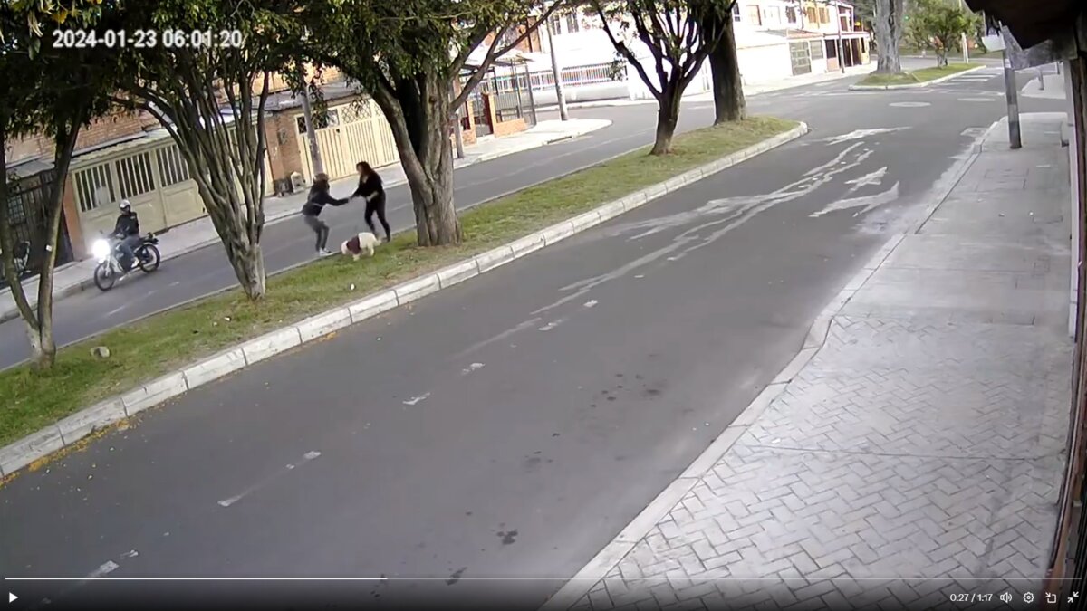 EN VIDEO: Violento intento de robo a mujer que paseaba su perro En un video quedó registrado el momento en el que pillos en moto intentaron robar a una mujer que paseaba a su perro en el barrio Modelo Norte, de la localidad de Barrios Unidos.