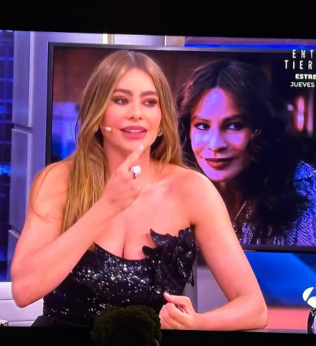 "Cincuentón como yo": Sofía Vergara revela como quiere su próxima pareja Además de contar secretos sobre su vida profesional, la actriz colombiana Sofía Vergara, reveló cuáles son los requisitos para su próxima pareja, luego de que se separara del actor Joe Manganiello.