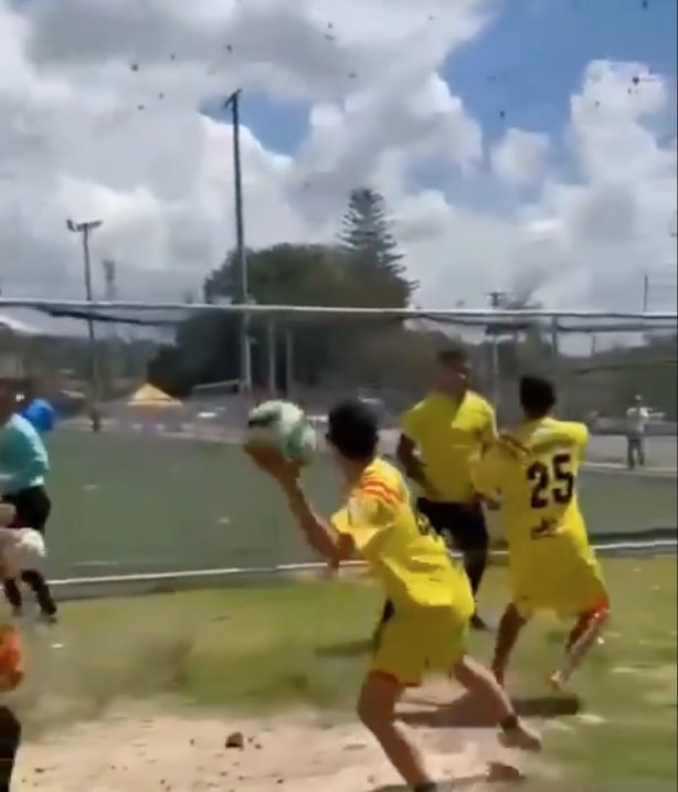EN VIDEO: Árbitro fue golpeado brutalmente en torneo juvenil 1 EN VIDEO: Árbitro fue golpeado brutalmente en torneo juvenil En los últimos días, se ha hecho viral en las redes sociales un video que ha generado polémica e indignación en todo el país. En este se alcanza a observar la golpiza con puños, patadas y piedras contra un árbitro.